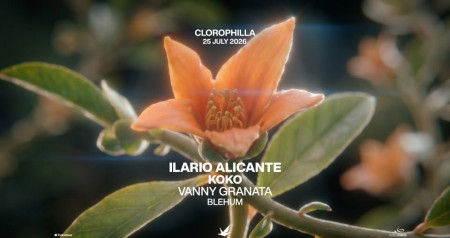 ILARIO ALICANTE