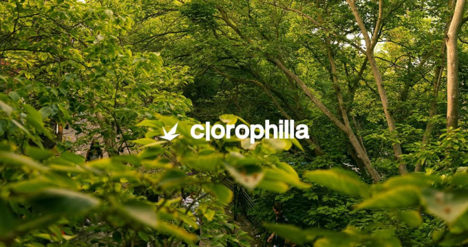 Sabato Clorophilla